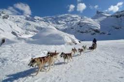 Grandvalira centro de actividades rocroi paseo en Mushing
